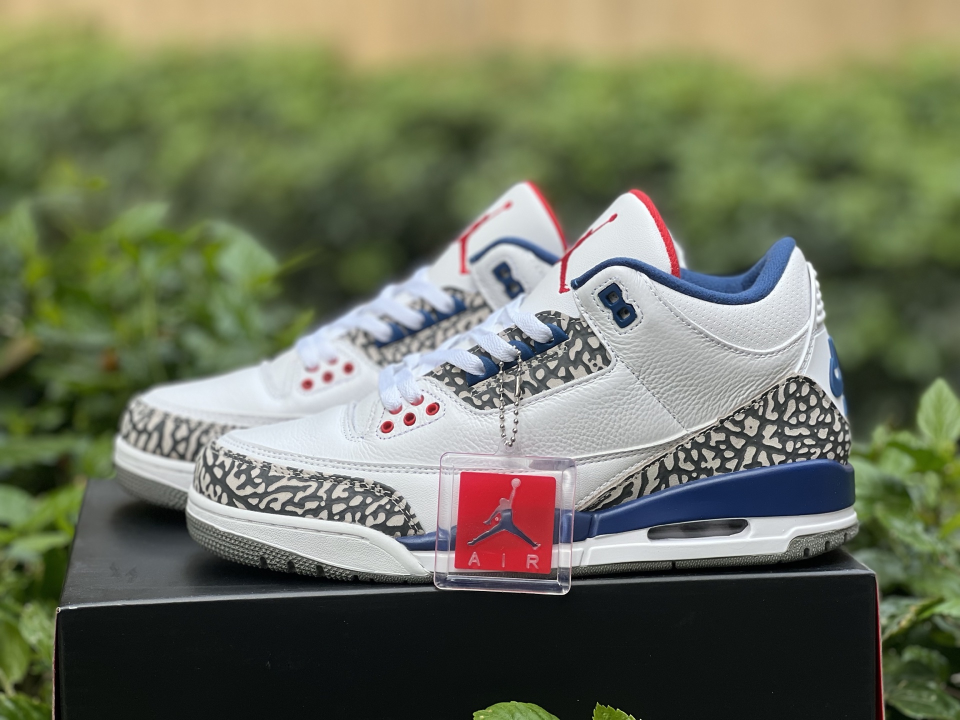 Nike Jordan shoe